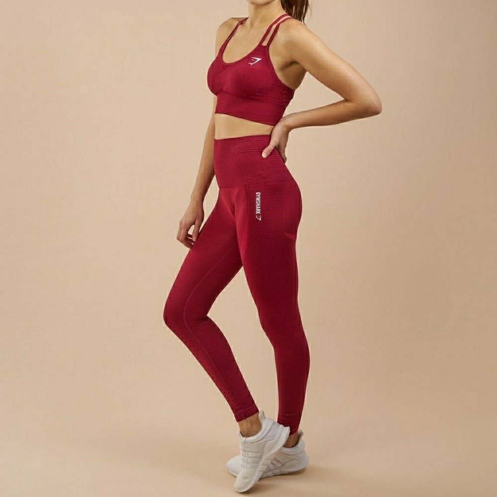 Gymshark Seamless Leggings - Beet Marl